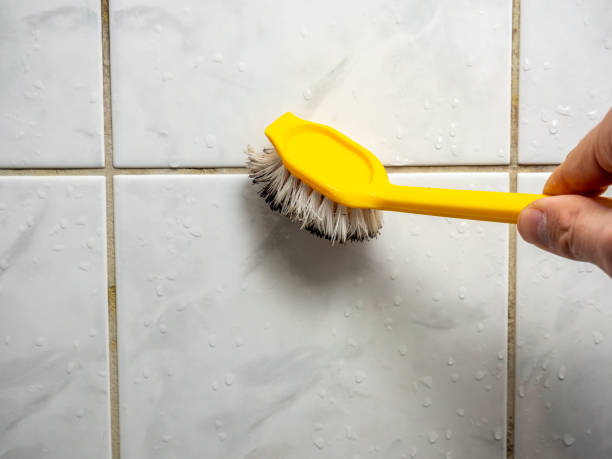 Best Health and Safety Mold Remediation in Chenoweth, OR
